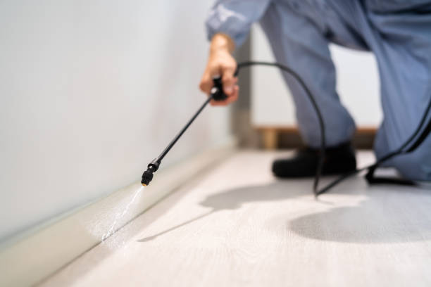 Licensed Pest Control service in Jeffersonville, OH - Show Me Pest Control
