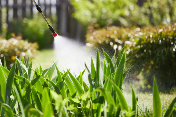 24/7 Emergency Ant Control experts in Jeffersonville, OH